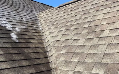 Can Professional Roof Cleaning Extend the Life of Your Roof?