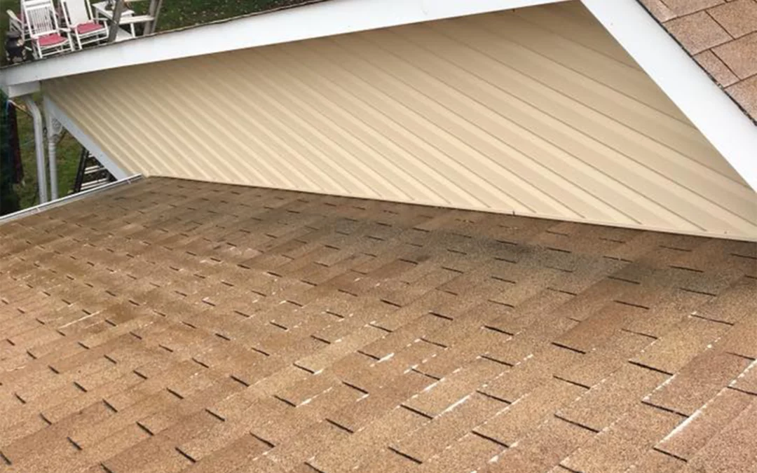 roof cleaning