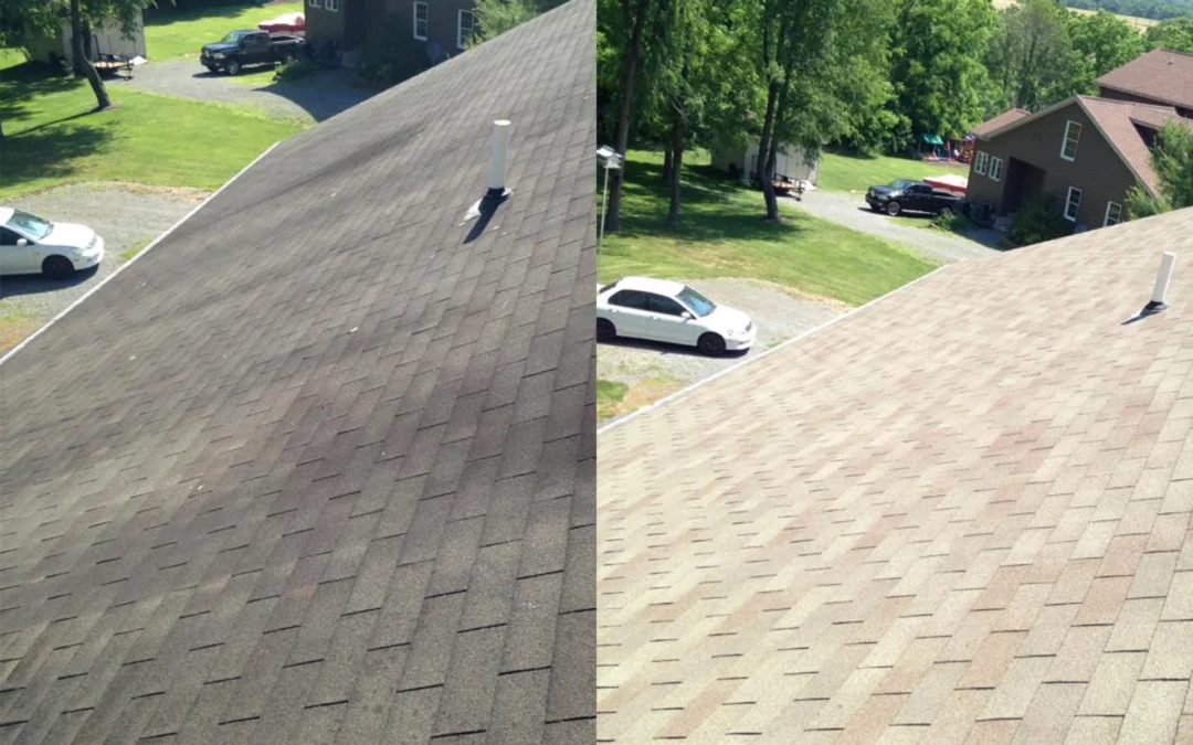 Unveiling the Benefits of Professional Roof Cleaning in Carlisle, PA: Highlight on Pro Pressure Works